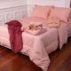 HH BY SURTEX